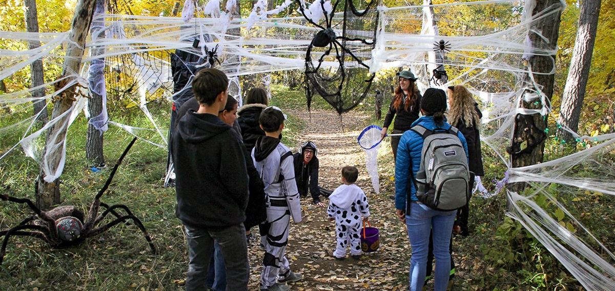 Haunted Trail Adventure City Of Lakewood haunted-trail-adventure-city-of-lakewood