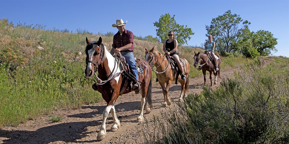 Three riders on a trail in the park.