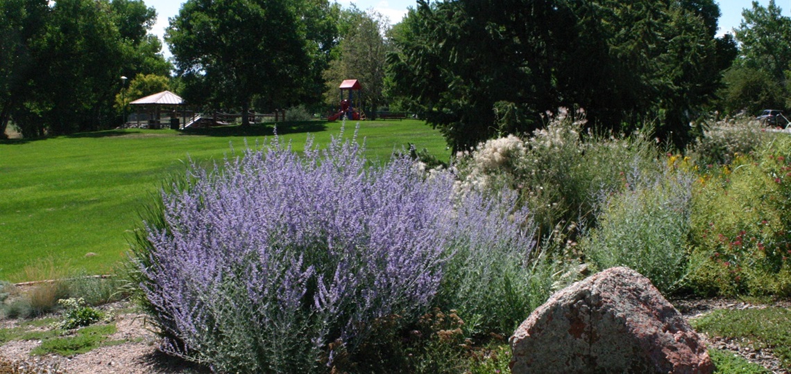 Sutherland Shire Park with garden