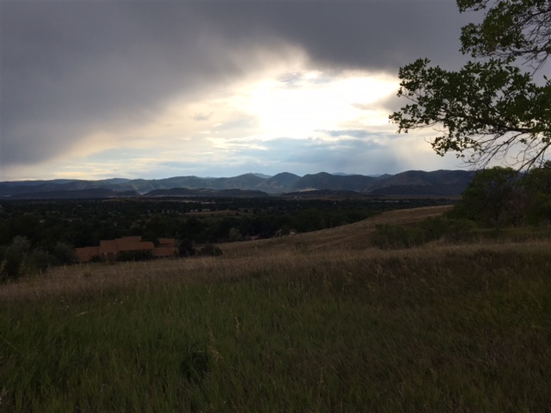 Taylor Property City of Lakewood