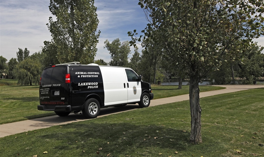 Animal Control City of Lakewood