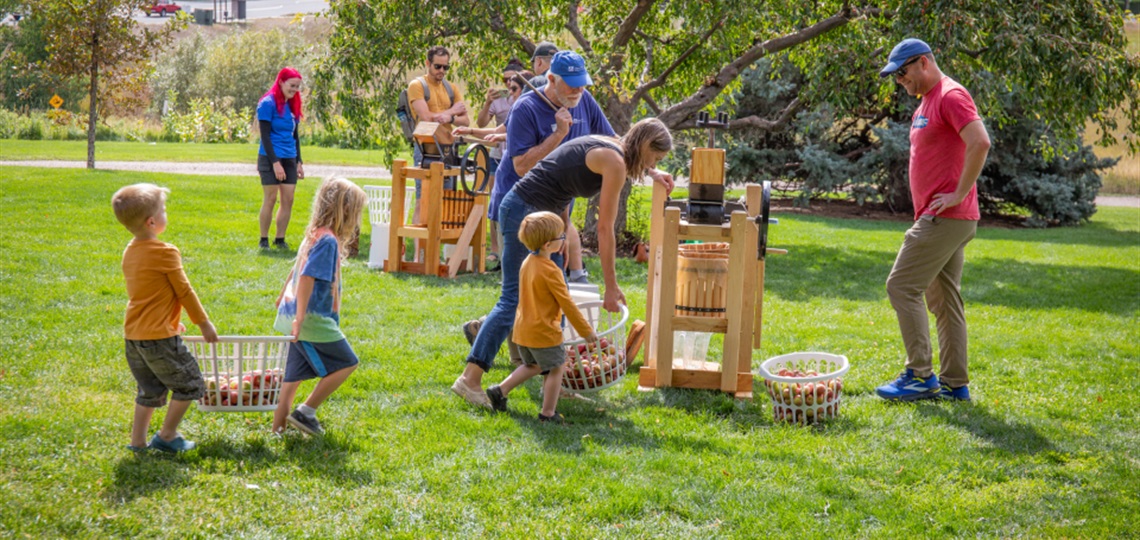 cider pressing
