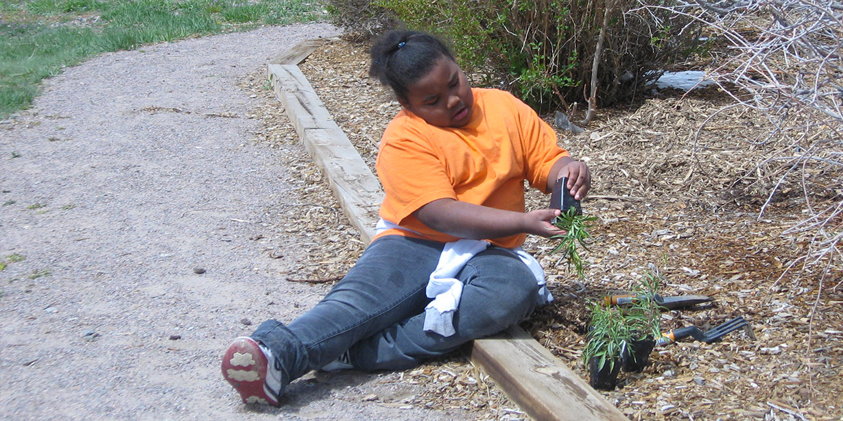 A volunteer plants during Earth Day.