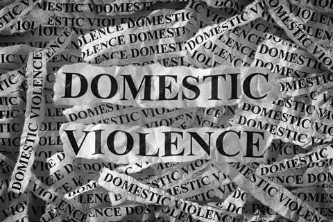 graphic that says domestic violence