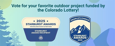 starburst award pin