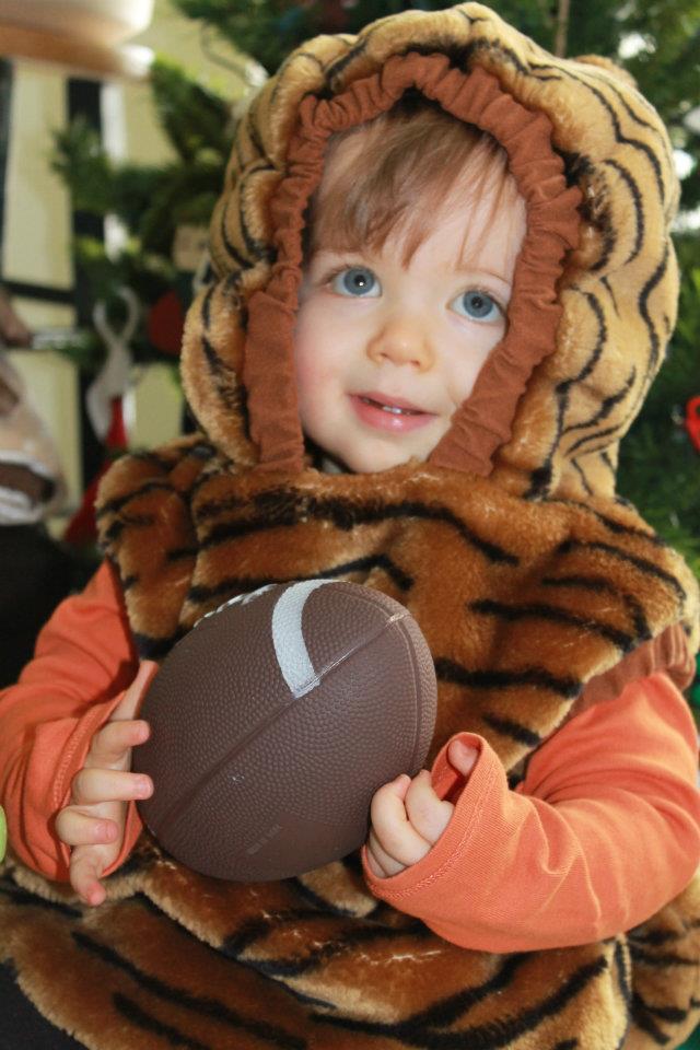 tiger costume .jpg