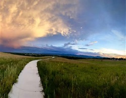 Path in a park at sunset