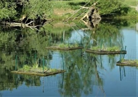 Floating-islands.jpg
