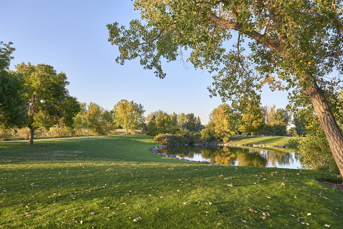 Incentives & Tax Rates City of Lakewood